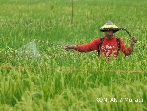Menebar insentif demi menjaga lahan pertanian