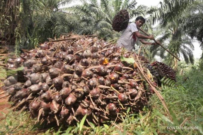 Peraturan teknis tentang moratorium kelapa sawit diharapkan segera dirilis