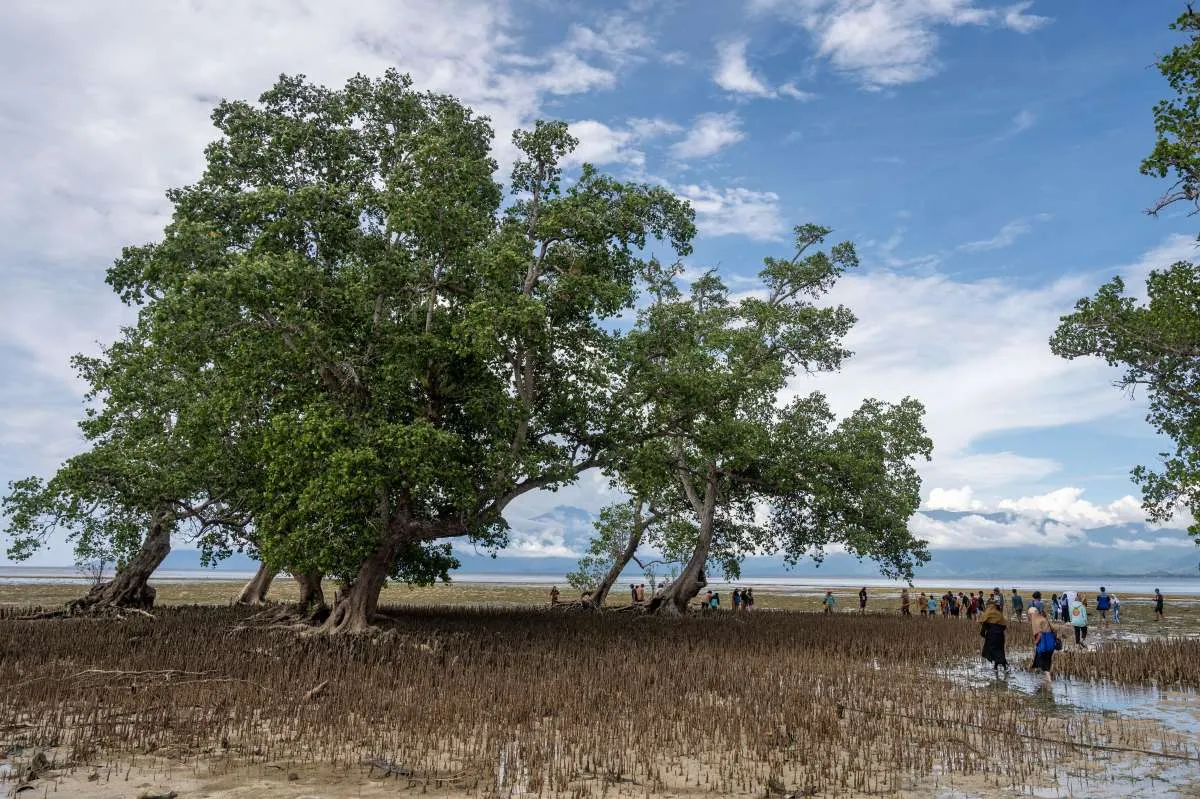 Prakiraan Cuaca Sulawesi Tengah Untuk Hari Ini (30/12) dan Esok dari BMKG