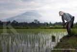 Gunung Agung akan meletus malam ini?