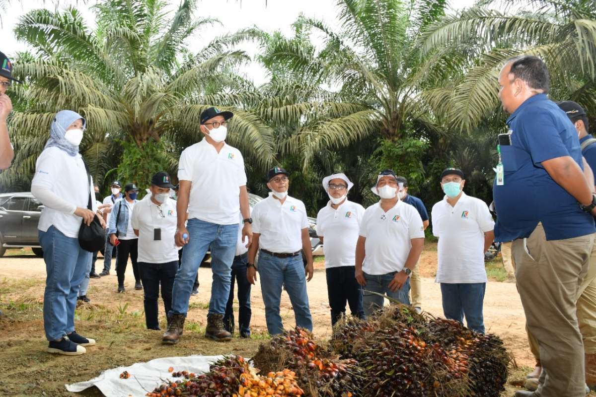 Pupuk Kaltim Rancang Energi Pendamping Biomassa, Manfaatkan Limbah Sawit Anak Usaha