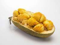 Catat 8 Manfaat Buah Cempedak Untuk Kesehatan Jika Rutin Dikonsumsi