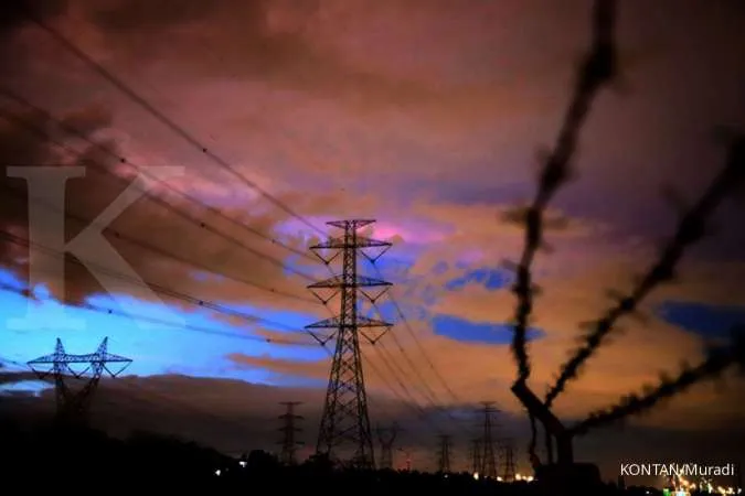 Indonesia state power company PLN cuts capex by nearly half this year