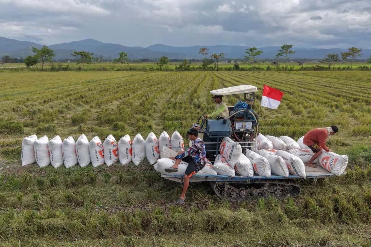 DPR Sebut HPP Gabah Kering Panen Rp 6.500/kg Perlu Dievaluasi, Ini Alasannya