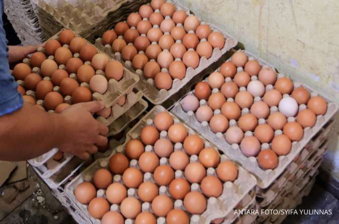 Harga Telur di Bali Melonjak, Jumat (10/1)