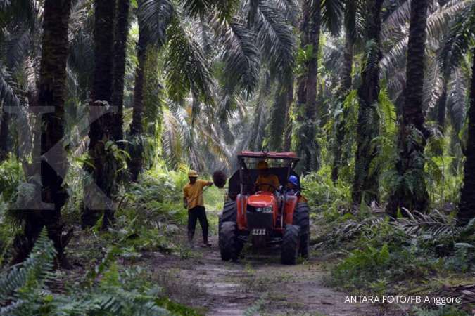 Norwegia tidak menolak minyak sawit Indonesia
