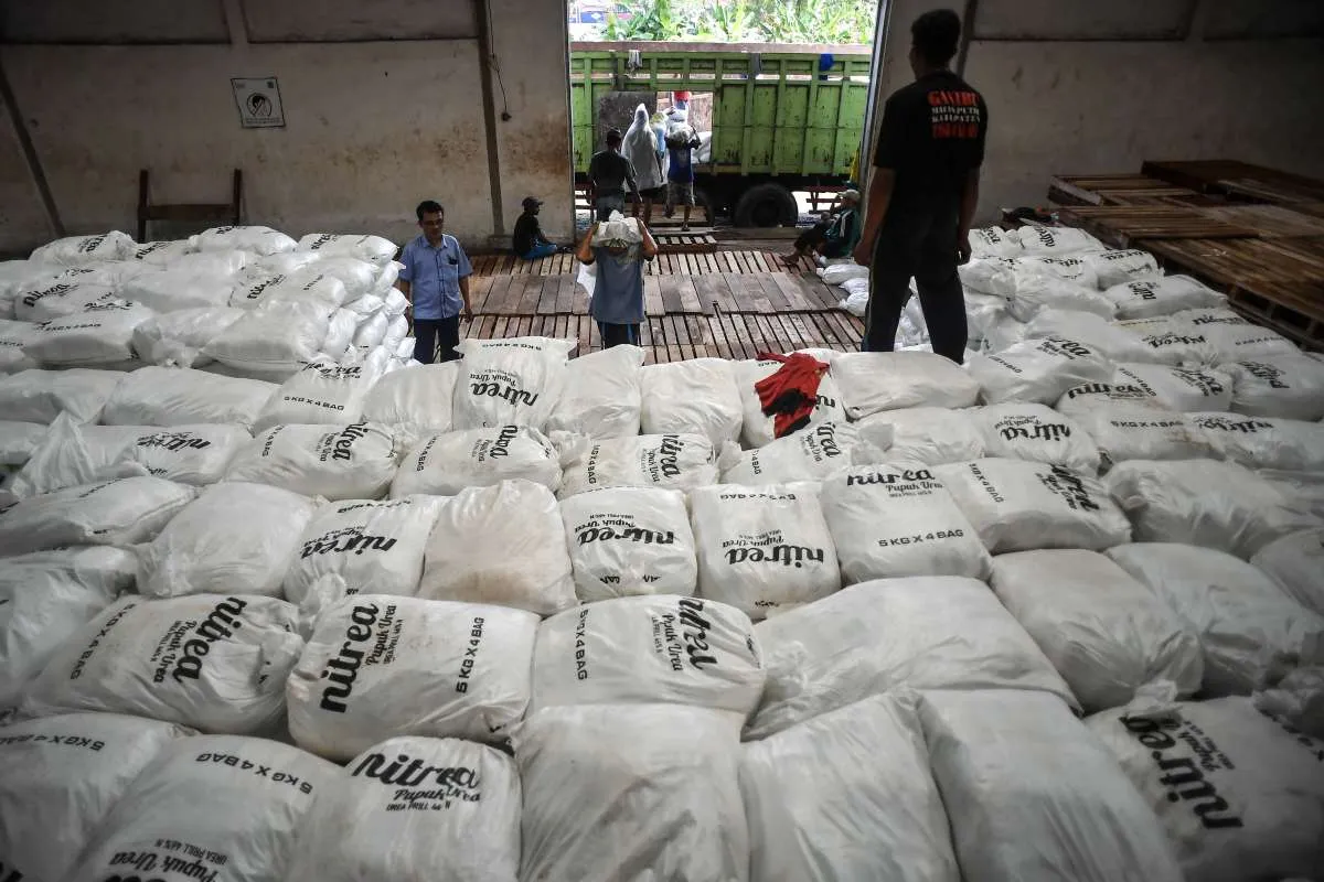 PM Albanese Telepon Prabowo, Apresiasi Ekspor 250.000 Ton Pupuk Urea RI ke Australia