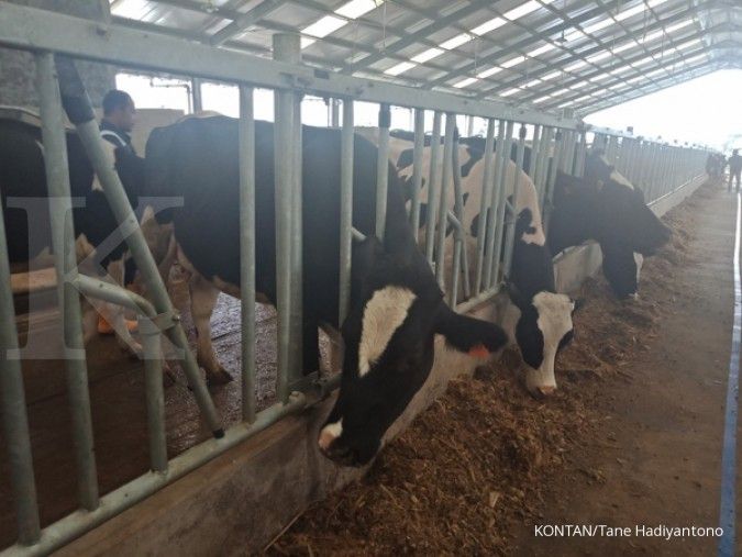 Frisian Flag Indonesia bangun desa produksi susu di Ciater