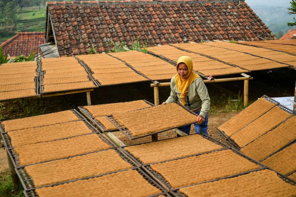Legislator Soroti Dampak Ekonomi PP 28/2024 terhadap Industri Tembakau