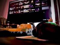 Cara Menggunakan Taimanin Squad Coupon untuk Mendapatkan Reward Gratis Bagi Pemula