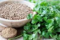 Bukan Sekadar Bumbu! Ketumbar Simpan 7 Manfaat Kesehatan Tak Terduga