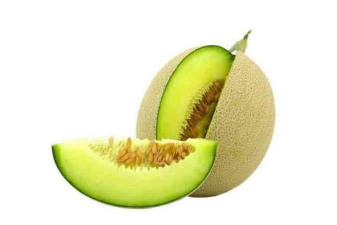 Kontan - Tony Prasetyo Seremonia Online