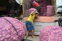 Sentra Produksi Mulai Panen, Kementan Pastikan Harga Bawang Merah Akan Segera Turun