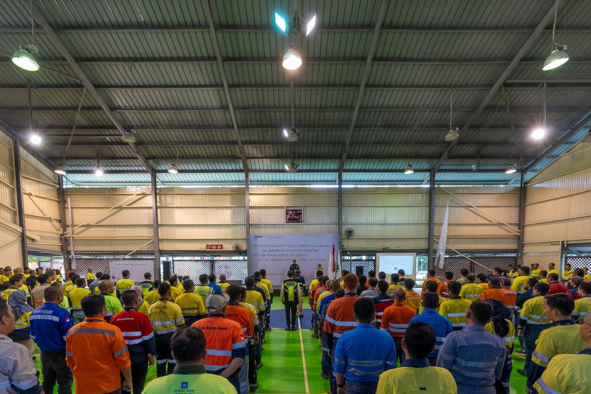 Kontan - Amman Mineral Kilas Online