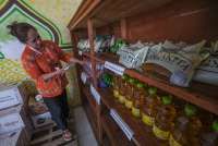 Kemenkop Bidik Satu Juta Lapangan Kerja di Kopdes