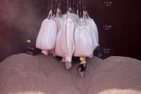 Produk Biomassa Asal Indonesia Raup Transaksi Rp 1,04 Triliun di Jepang