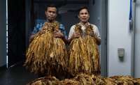 Jutaan Pekerja Industri Hasil Tembakau Terancam PHK Massal, Ini Pemicunya!