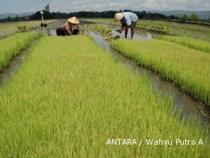 Proyek irigiasi bantuan Jepang akan jalan terus