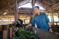 MHU Dorong Ekonomi Sirkular Lewat Peternakan