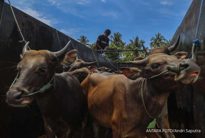 Jelang Idul Adha, Ini Harga Kambing dan Sapi Kurban di Dompet Dhuafa Jabar 2026