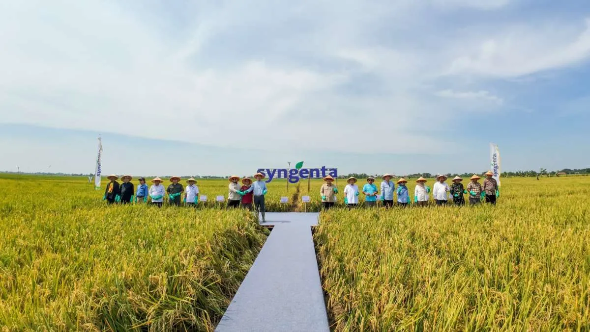 Dorong Peningkatan Produktivitas Padi Petani Hingga 10 Ton Per Ha