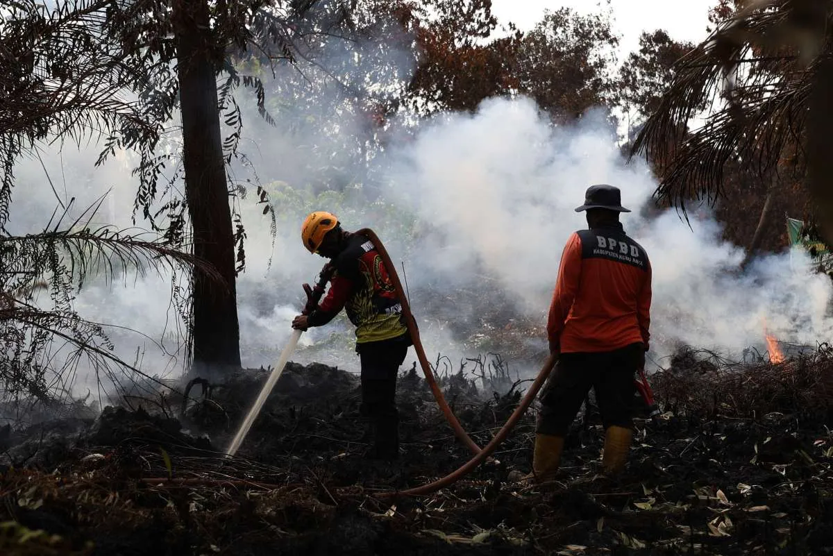 Haji Isam Dirumorkan Jadi Koordinator Karhutla, Istana Beri Klarifikasi