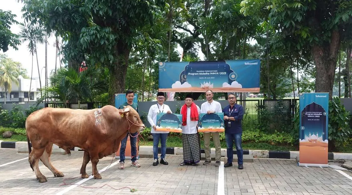 Hukum Berkurban Berdasarkan Jenis Kelamin Hewan, Apakah Menentukan?