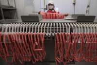 Selama pandemi bisnis makanan beku diperkirakan dapat meningkat lebih dari 50% 