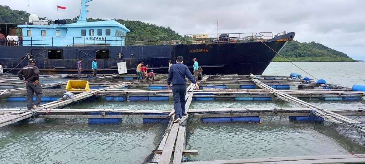 KKP Kerjasama Fasilitas Dagang dengan Kanada