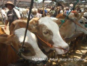 Komisi IV minta Kementan bangun karantina sapi untuk lepas ketergantungan impor