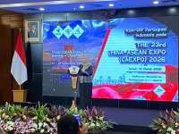 Ekspor RI ke China Tumbuh, Tapi Defisit Perdagangan Masih Tembus US$ 20 Miliar