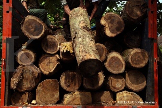 KLHK ungkap jaringan peredaran kayu Ilegal di Sumsel dan Jambi