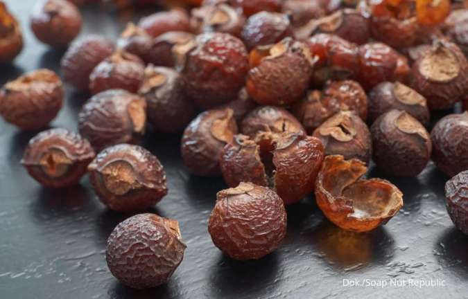 Mengenal Lerak, Alternatif Sabun Cuci dan Deterjen yang Ramah Lingkungan