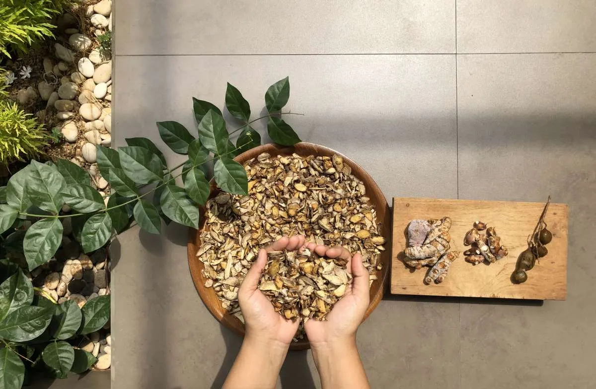 Inilah jamu tradisional untuk meningkatkan daya tahan tubuh dari Covid-19