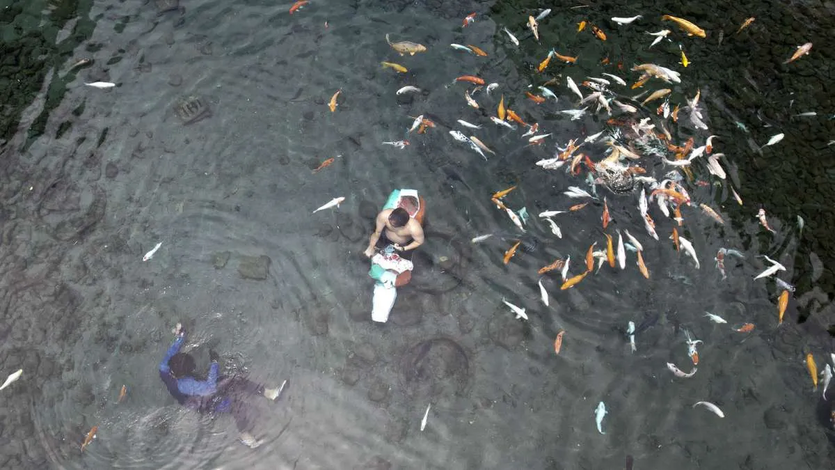 Selamat Hari Air Sedunia 2026, Ini Ucapan untuk Inspirasi Jaga Kehidupan