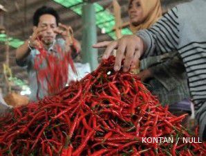 Cuaca membaik, produksi cabai diharapkan bisa naik 20% tahun ini