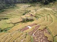 Persiapan Arus Balik, Cek Prakiraan Cuaca Jawa Barat Hari Jumat (27/3)