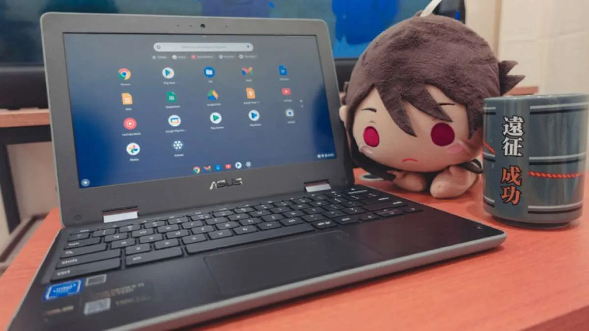 ASUS Chromebook C214, Laptop Fleksibel untuk Temani Anak Belajar