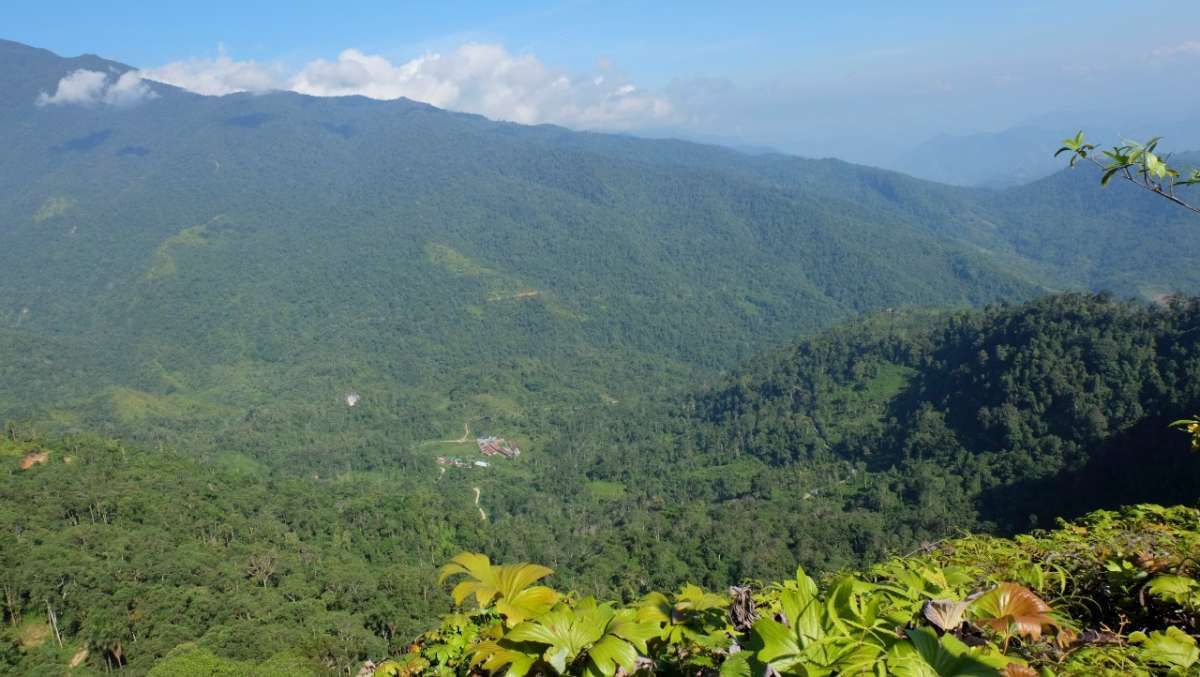 Indika Energy (INDY) Intip Peluang dari Awak Mas