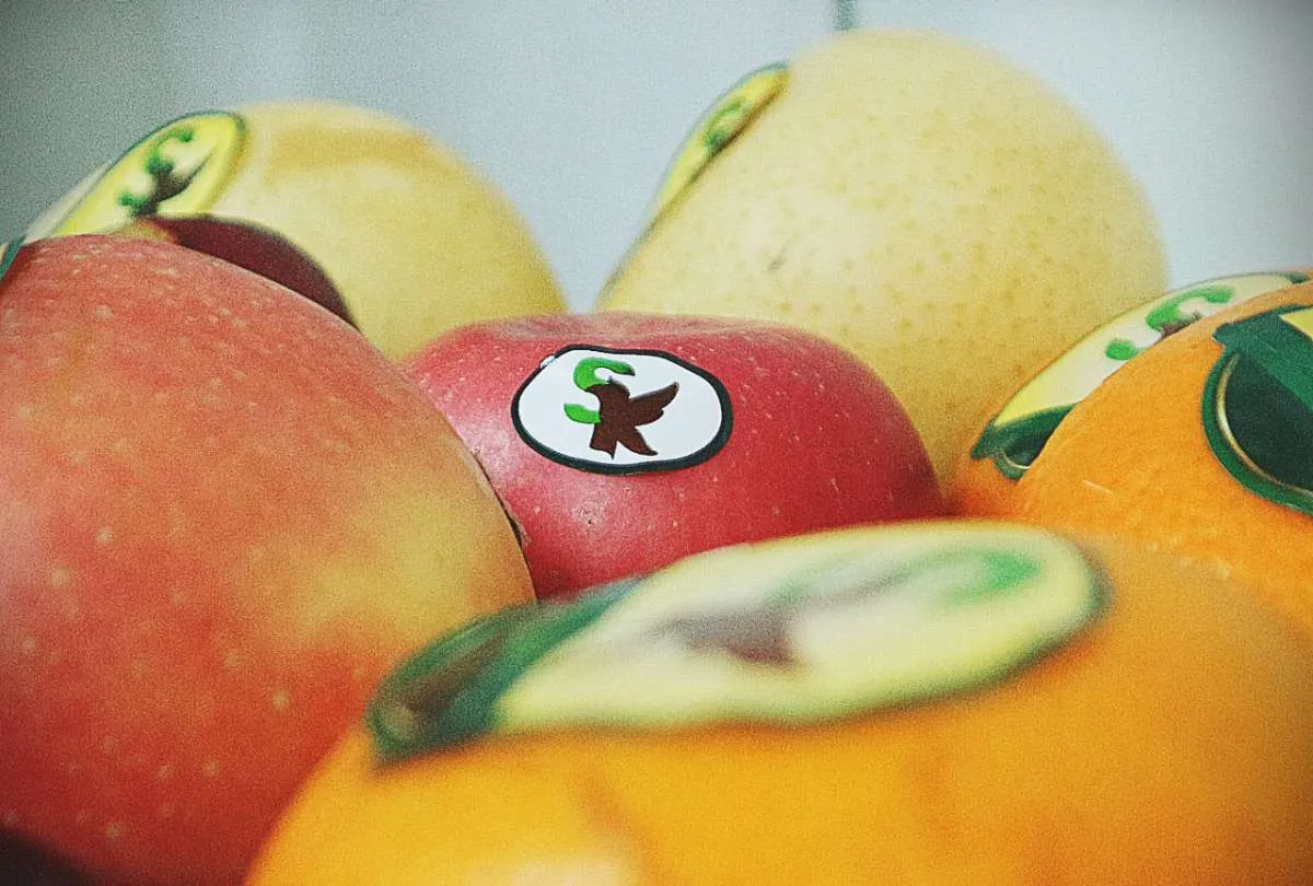 Analis Rekomendasikan Beli Saham BUAH, Simak Ulasannya