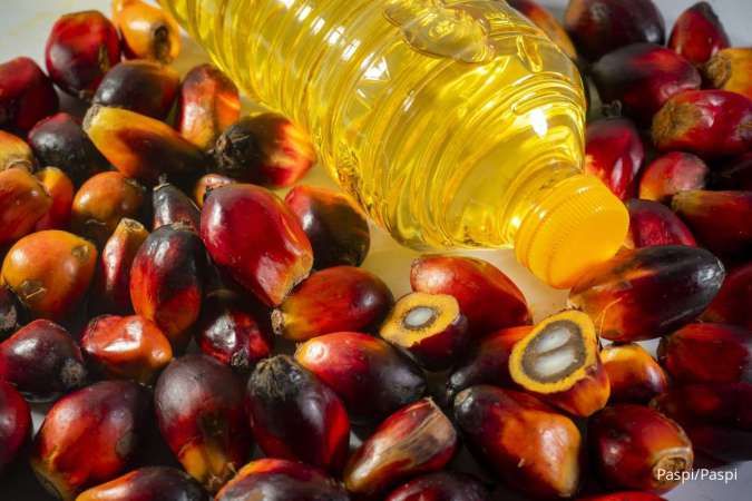 Bukan Cuma Sawit, Ini Penyebab Harga Minyak Goreng Ikut Naik