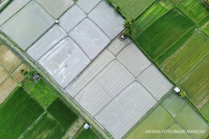 Kemenkeu Catat Realisasi Dana Desa Capai Rp 40,34 triliun per Minggu Kedua Juli 2025