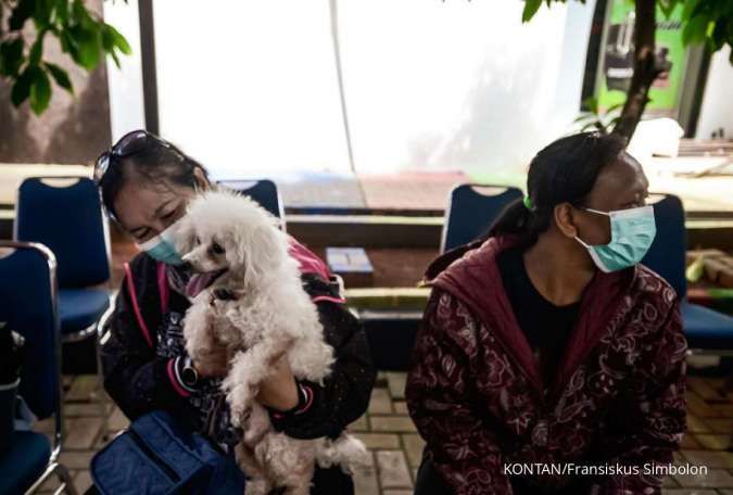 Kasus Rabies Meningkat, Ini Ciri-Ciri Hewan Terkena Rabies