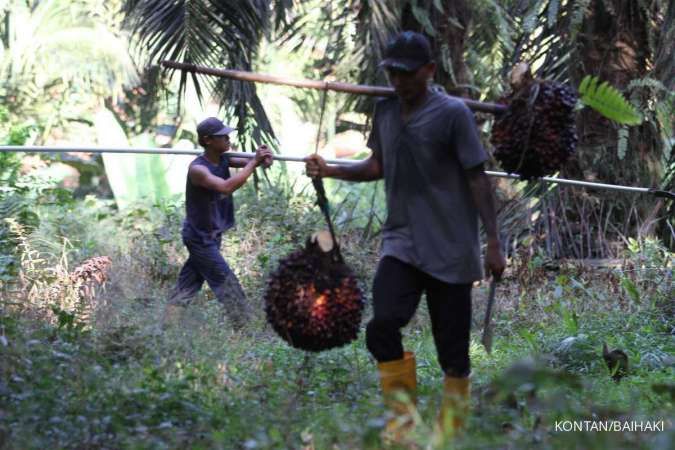 Indonesian Sustainable Palm Oil Ispo