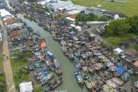 Memacu Budi Daya Perikanan Darat