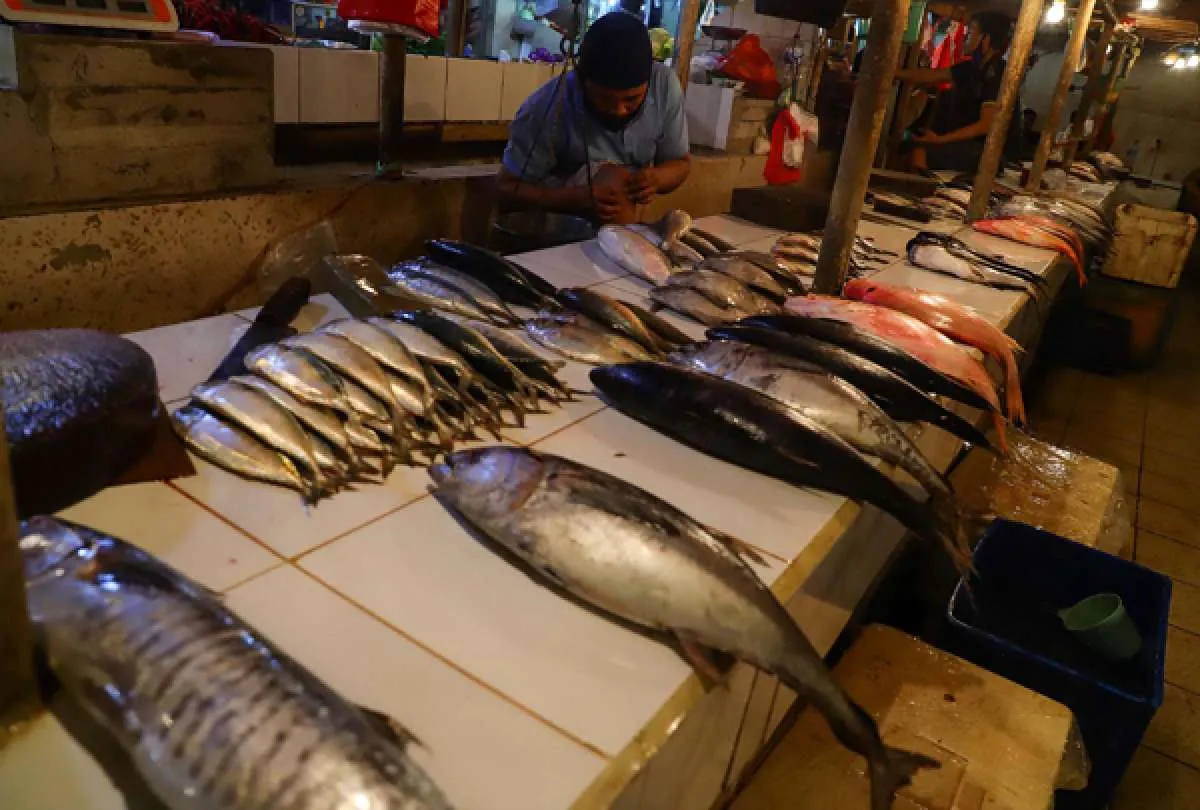 Kemenko Marves sebut potensi penerimaan negara dari pelaut bisa capai Rp 151 triliun