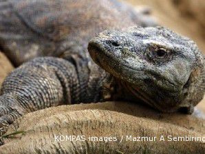 Komodo National Park ranks 6th place in global poll