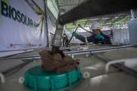 B50 Bakal Rilis 1 Juli, Gapki: Serapan Biodiesel Indonesia Ada di Pertamina