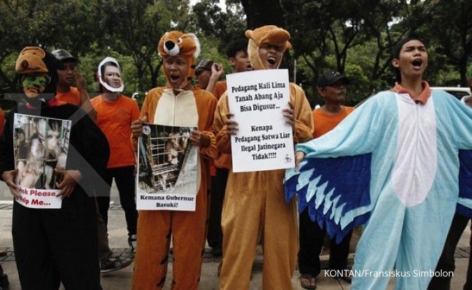 Macan, singa, beruang, menggeruduk kantor Ahok