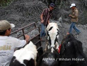 BRI berikan kredit kemitraan pada 900 debitur Merapi senilai Rp 2 miliar